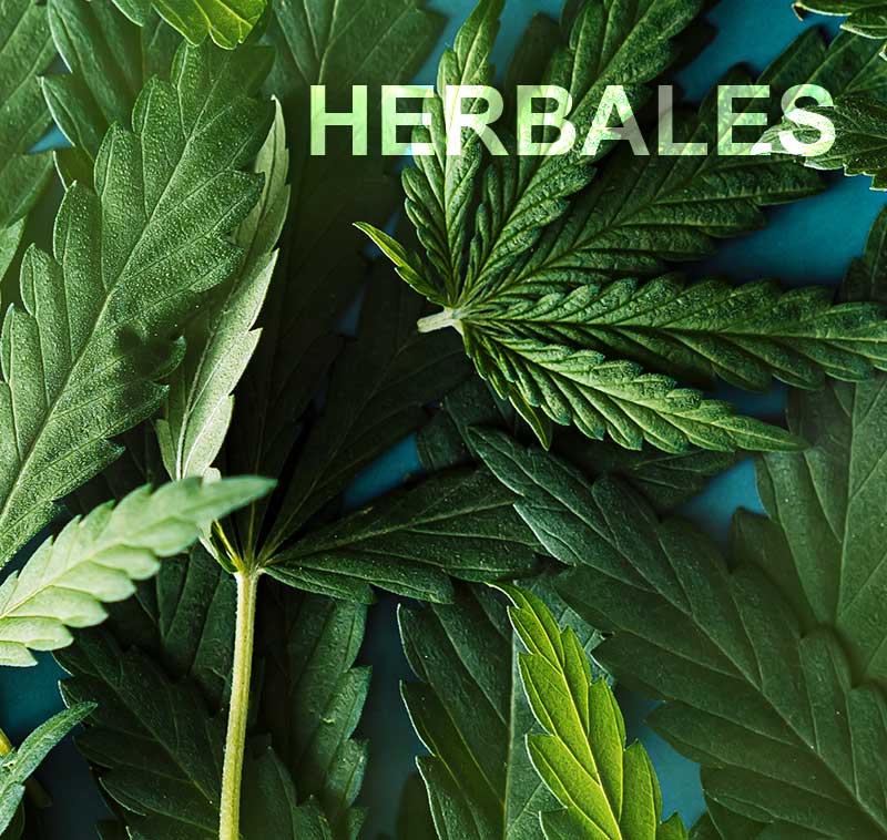 Vaporizadores Herbales